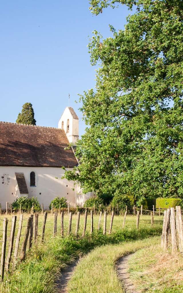 Parcours-découverte de Saint-Mars-la-Brière