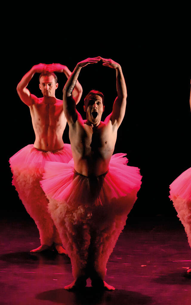 Tutu // Chicos mambo