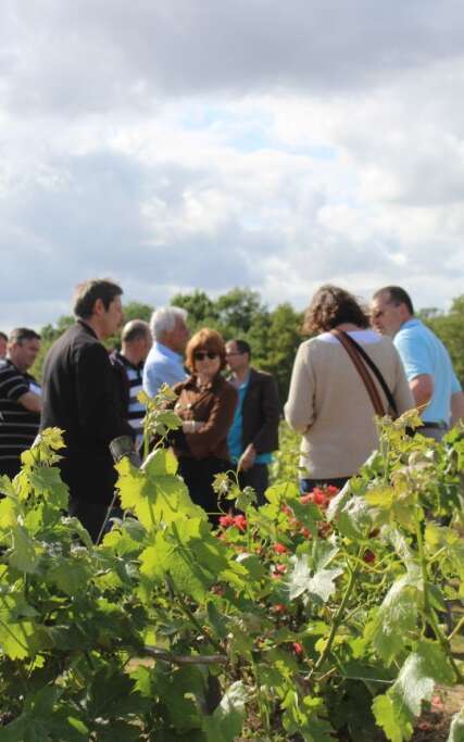 Domaine Florence et Joël Forgeau