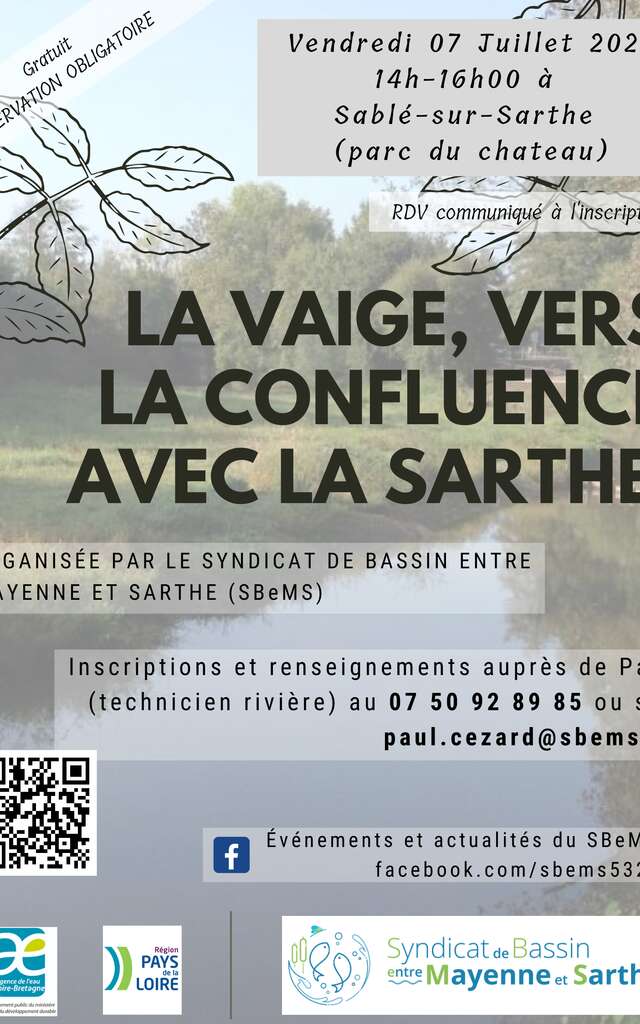 LA VAIGE, VERS LA CONFLUENCE AVEC LA SARTHE