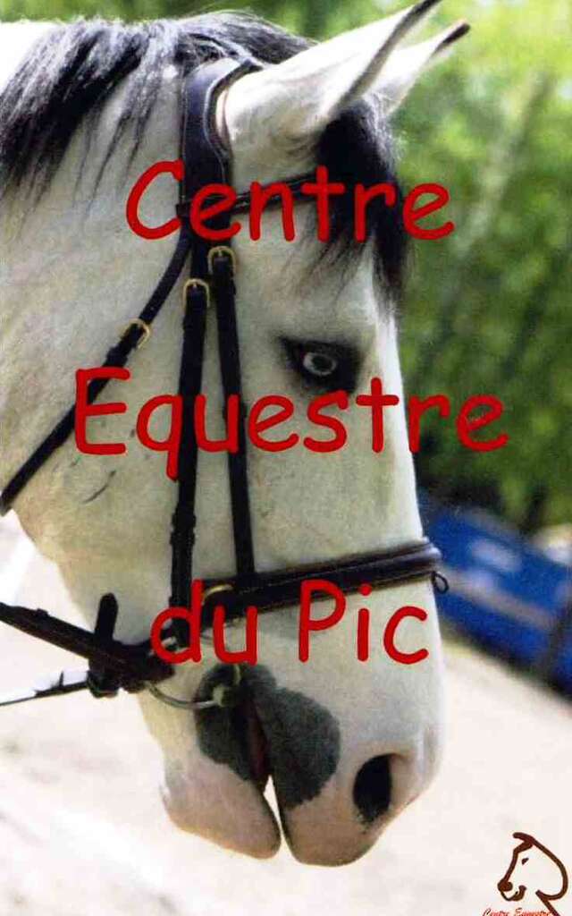 HORSERIDING - LE PIC