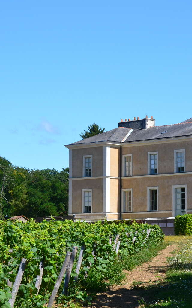 Château du Cléray - Sauvion