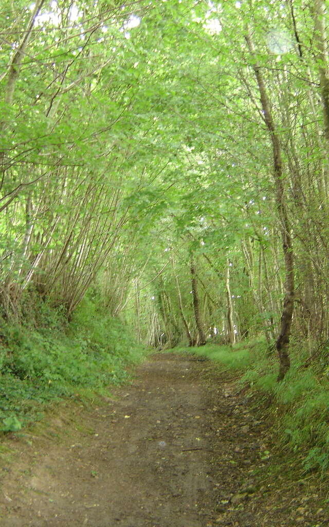 Entre tuffeau et grès roussard