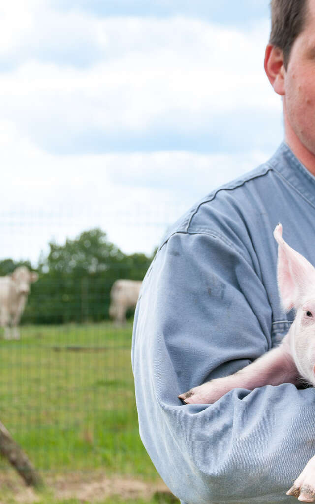 CHAUVET FARM: FARM SHOP