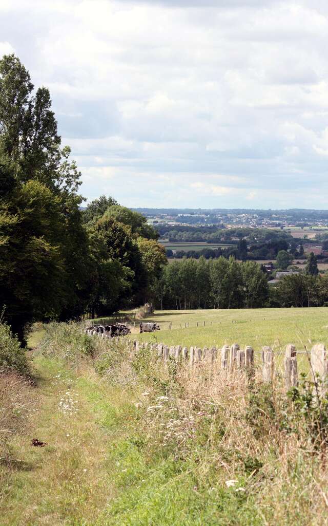 Autour du Mont Chauvel
