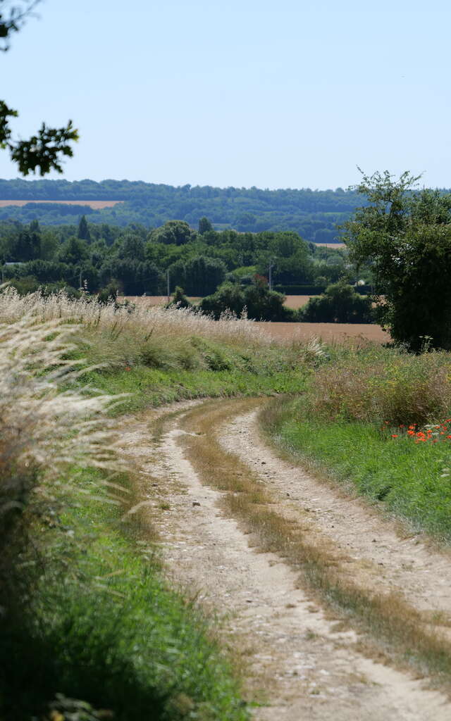 Autour du Saint-Symphorien