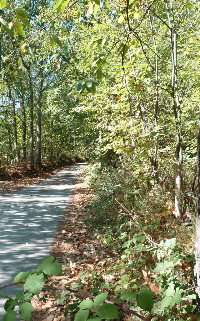Les boucles de Saint-Célerin