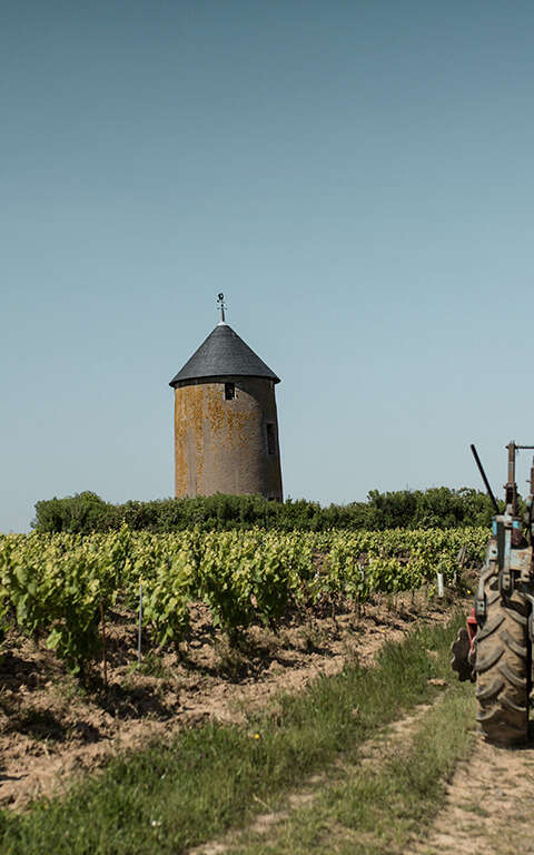 Domaine Ménard-Gaborit