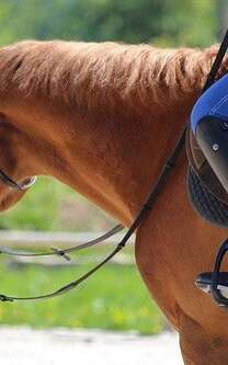 HORSERINDING - HARAS DE LA PELOIS