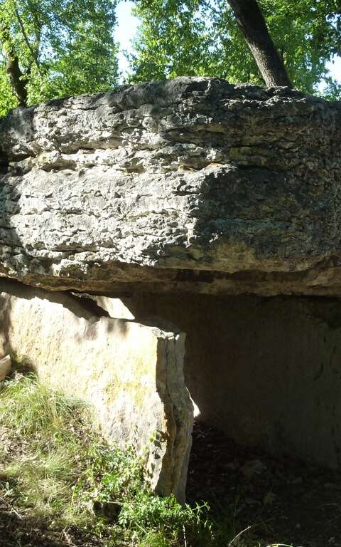 A la Découverte du Causse des Dolmens