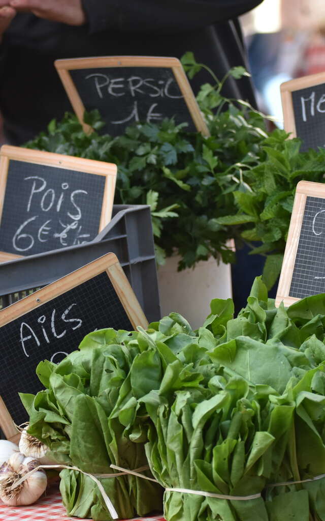 Marché à Saint-Cirq Lapopie