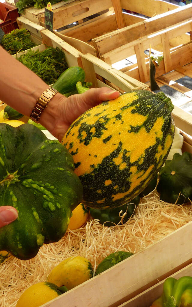 Marché à Limogne-En-Quercy