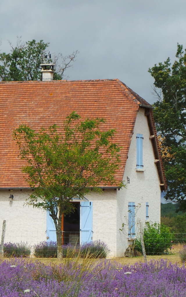 Gîte Lavitalie