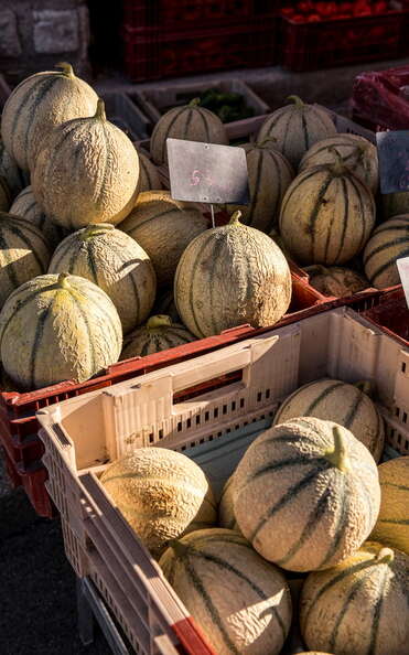 Marché estival de Montcabrier