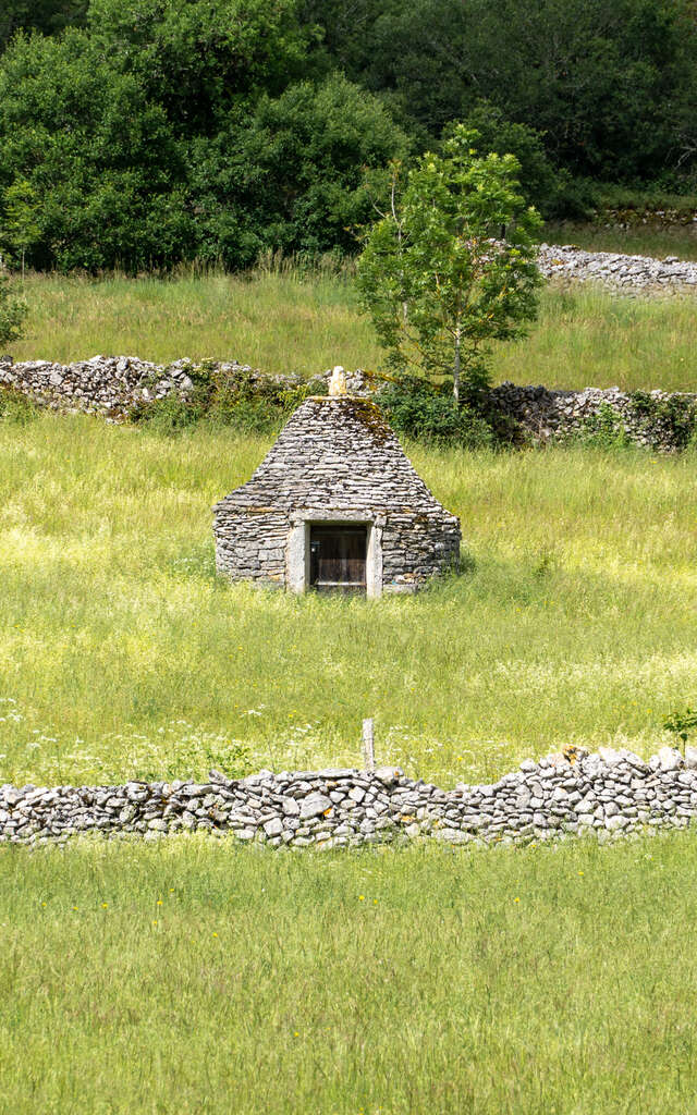 Au coeur du Triangle Noir