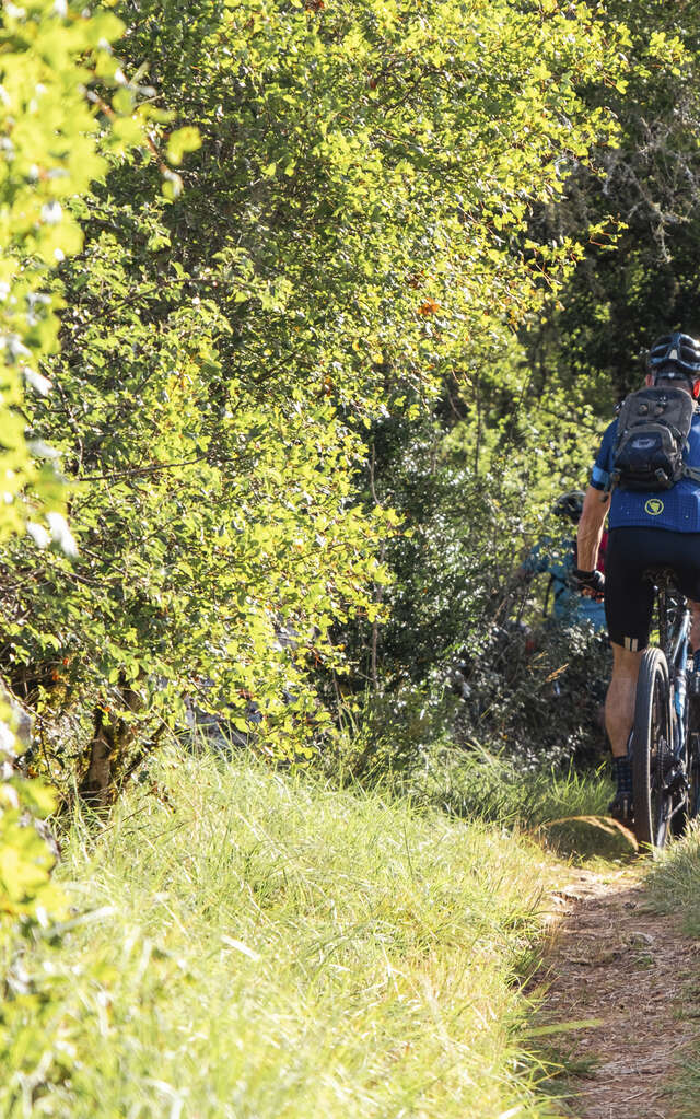 Le chemin des Dolmens et des Cazelles