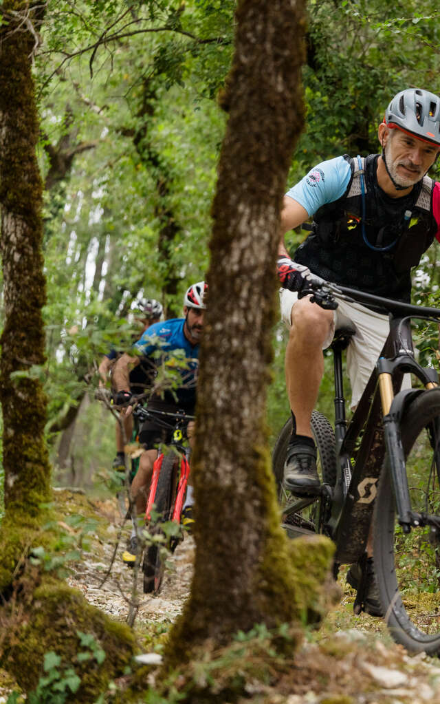 Vignobles et rivière Lot