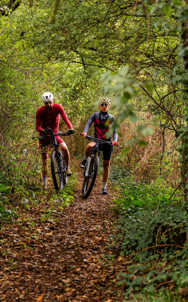 A la Découverte de la forêt