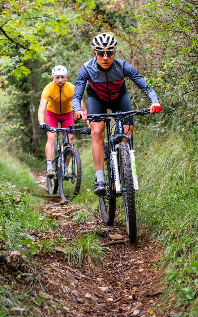 Les Jardins du Ségala