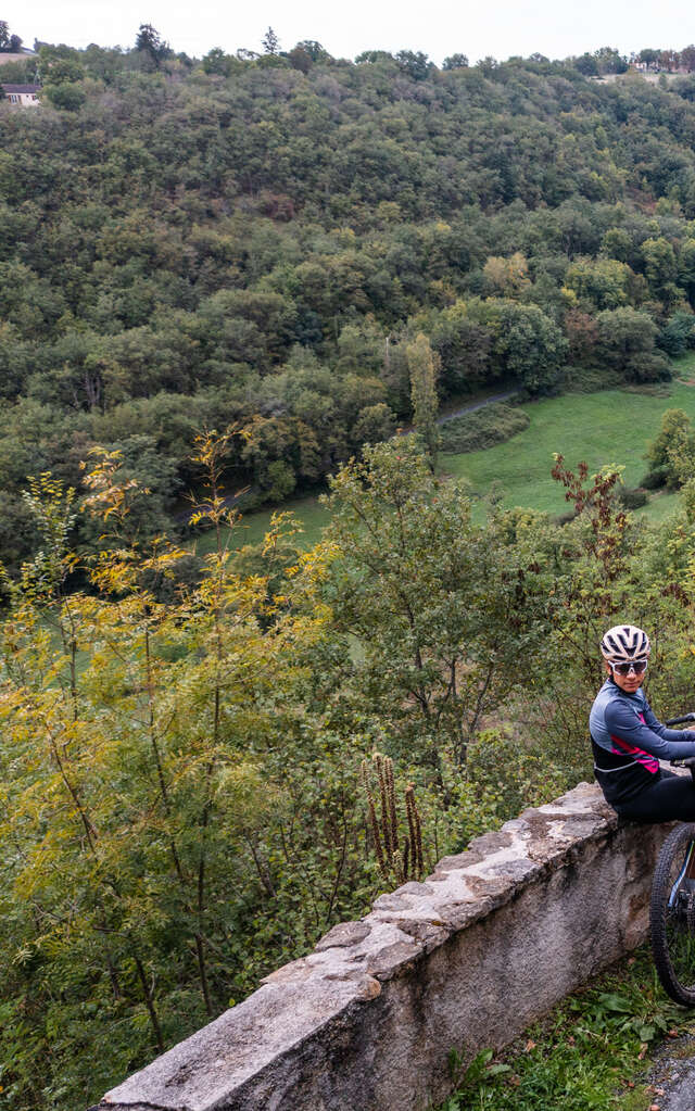 Chemins boisés et plateaux verdoyants près de Figeac