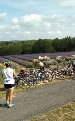 Les 46 km cyclo des lavandes