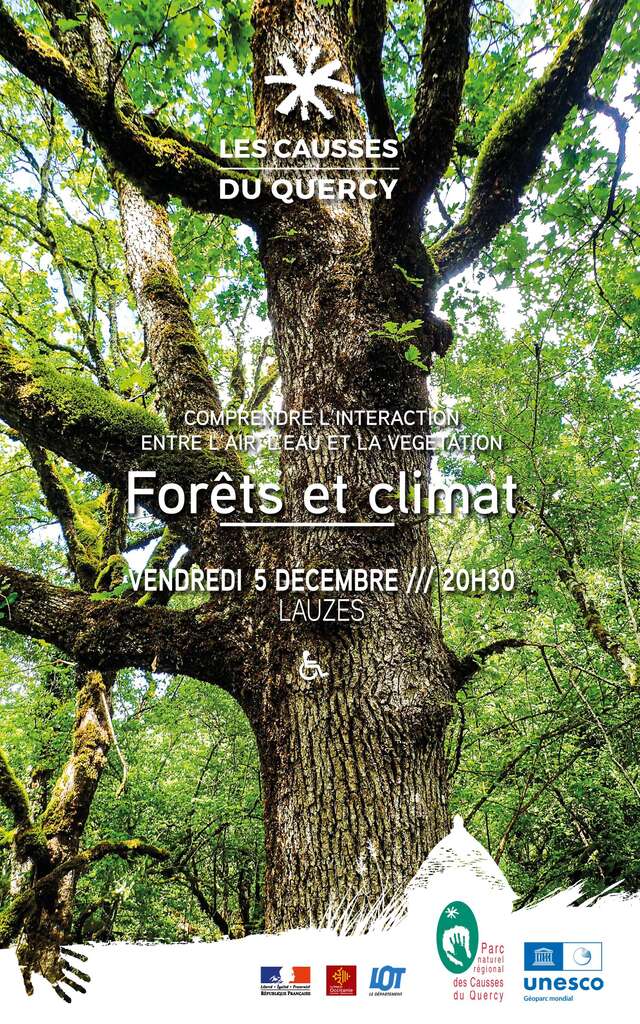 Forets et climat : comprendre l'interaction entre l'air, l'eau et la végétation
