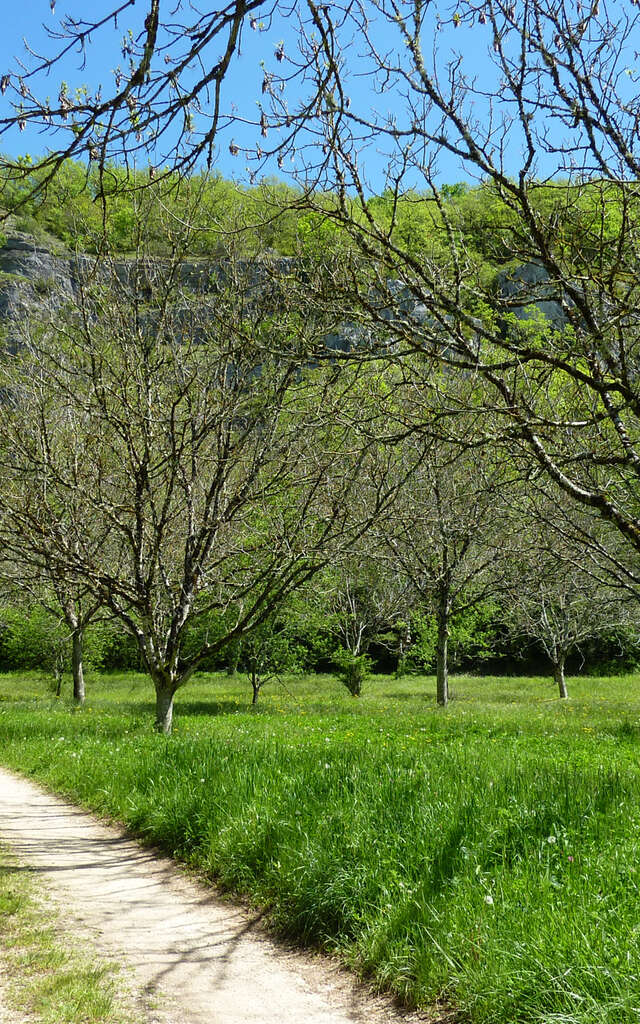 Entre Ouysse et Causse