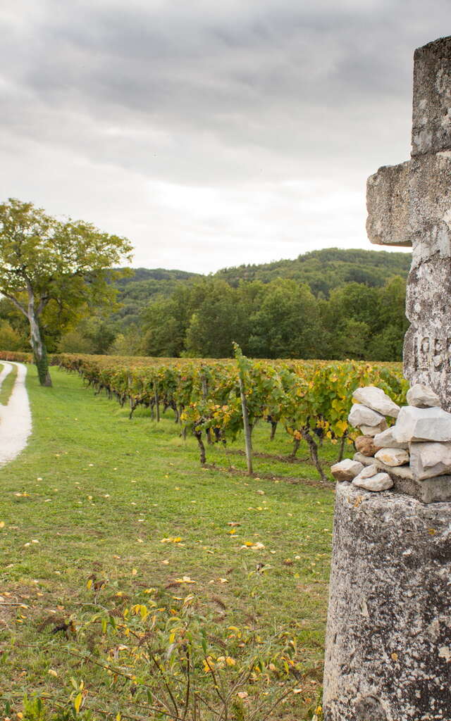 Circuit des Points de Vues