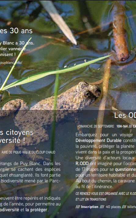 Les Odd en chemin ! Objectifs développement durable
