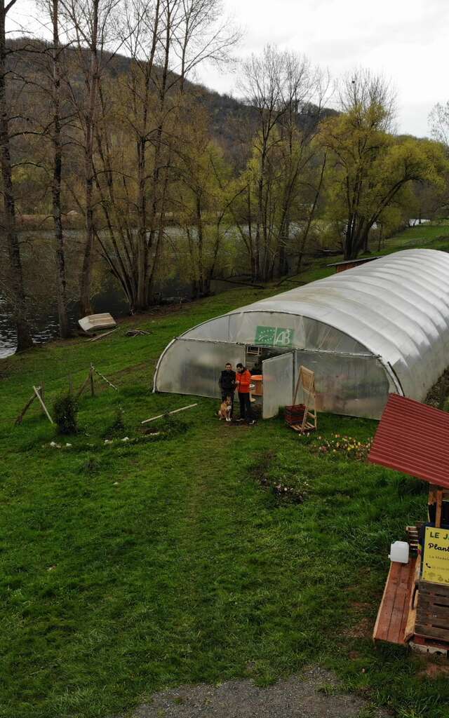 Le jardin des saules - Production de plants maraichers et aromatiques​
