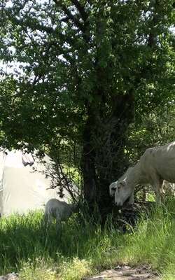 La Ferme en Paille