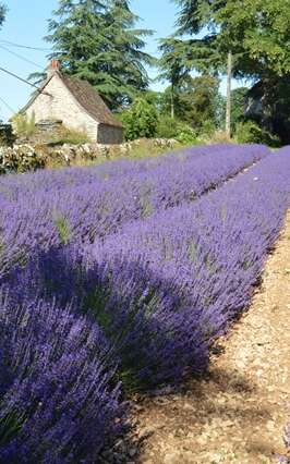 Ferme des Alix