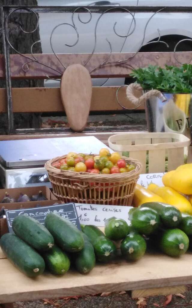 Potager l'Arbre à Carottes
