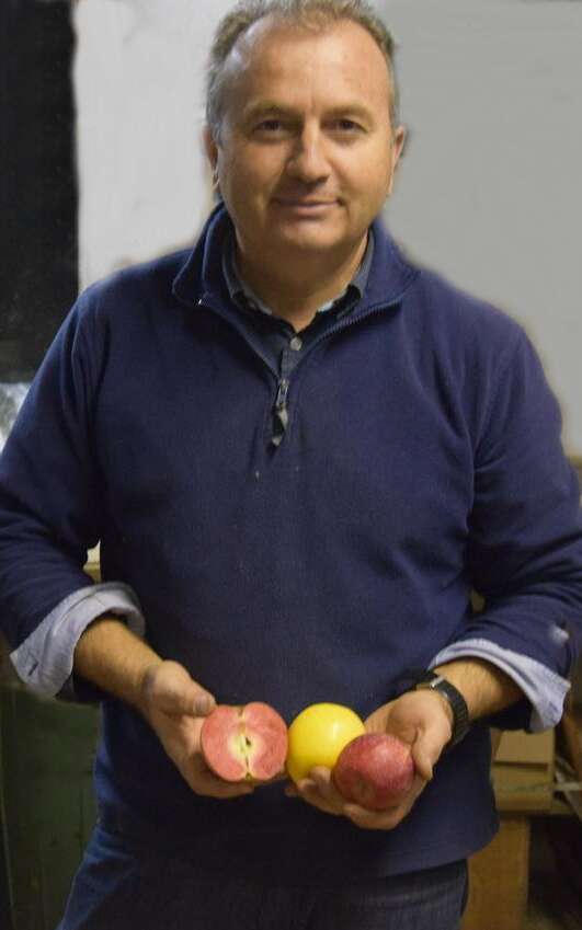 Les Vergers de Montcuq