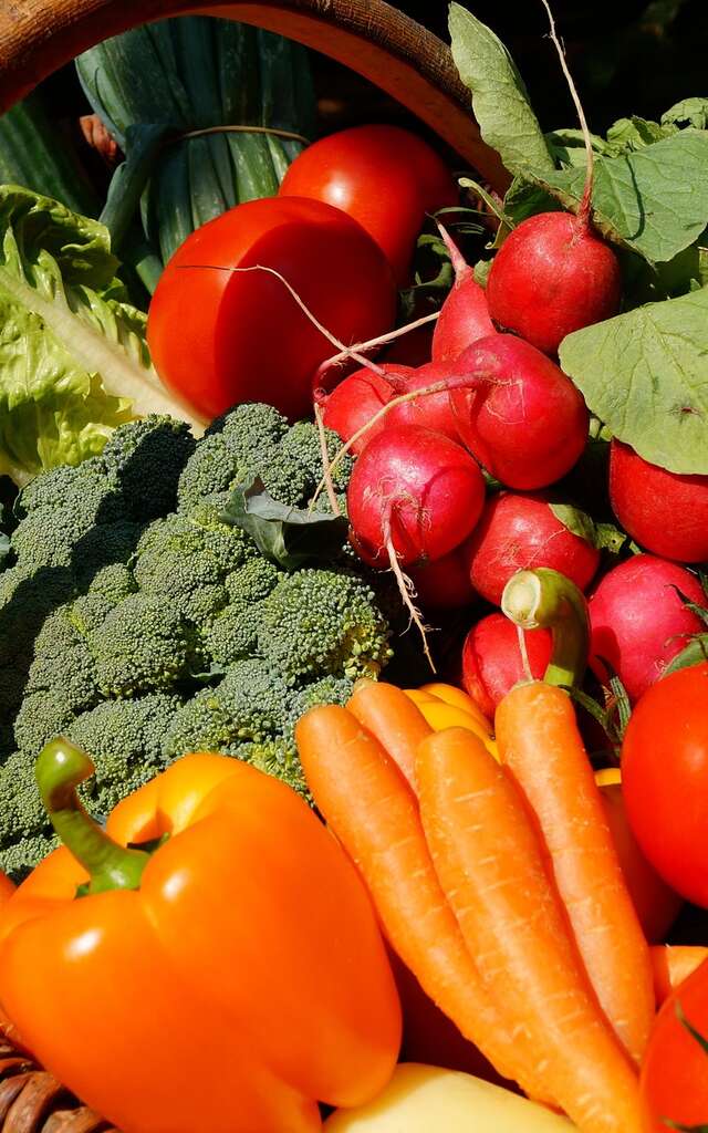 Marché de Saint Cirq Souillaguet