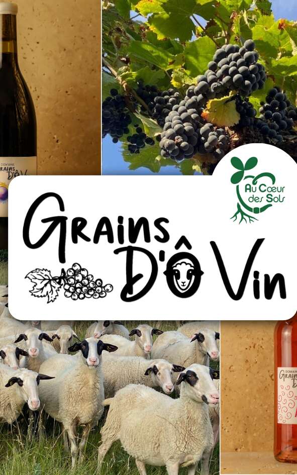 Grains d'O Vin
