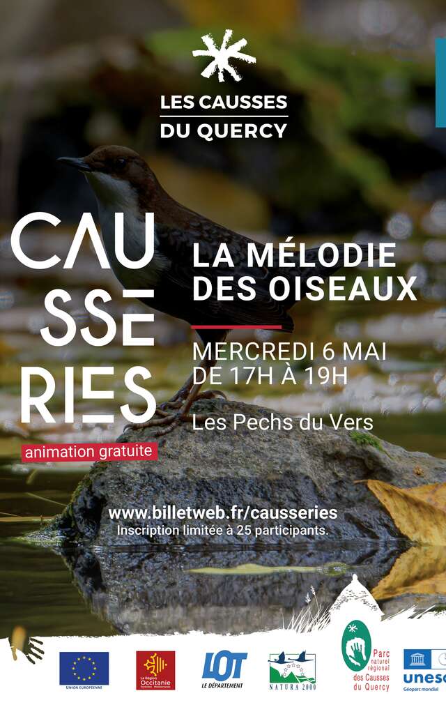 La mélodie des oiseaux