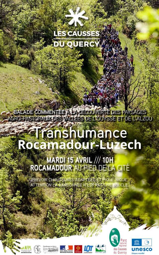 Transhumance Rocamadour-Luzech