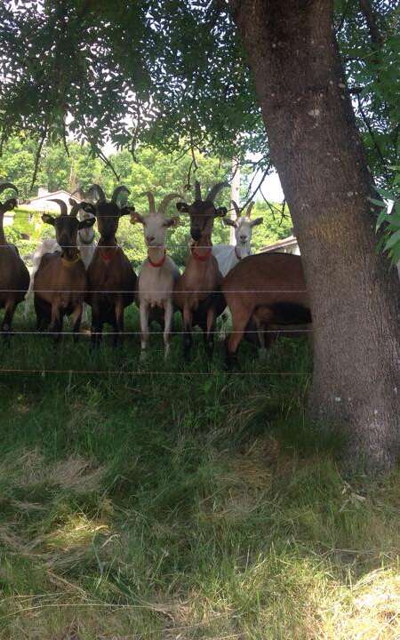 Ferme de Gayrac