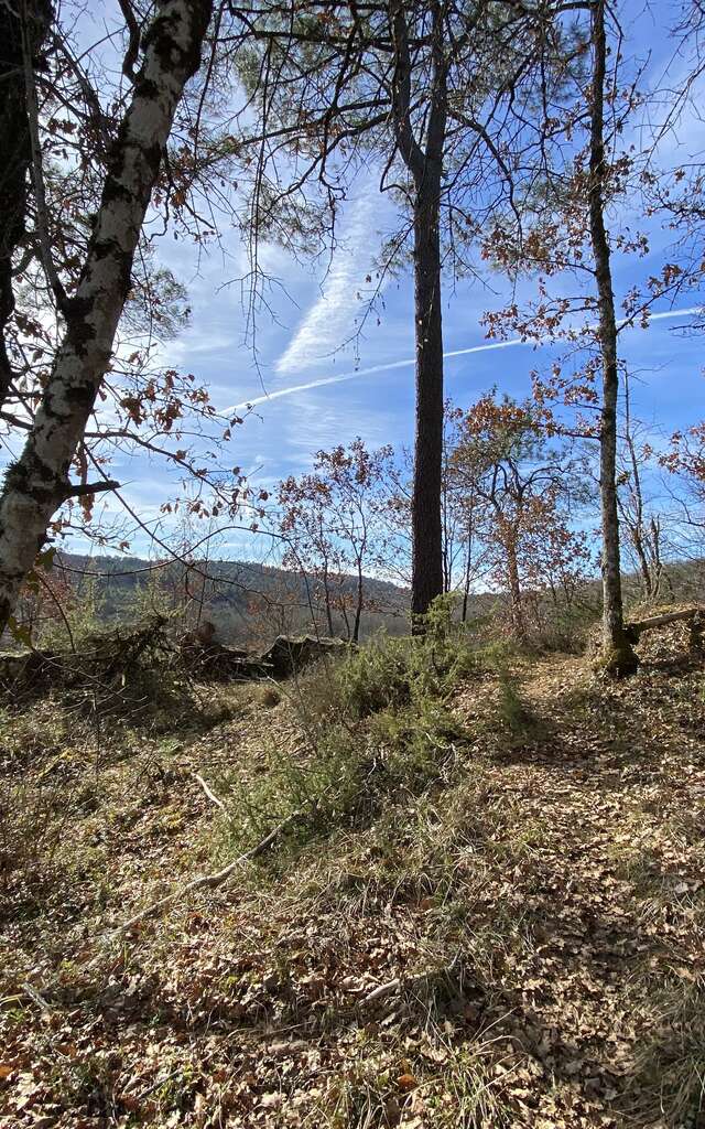 Les trois communes en VTT