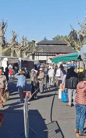 Marché à Bagnac-sur-Célé