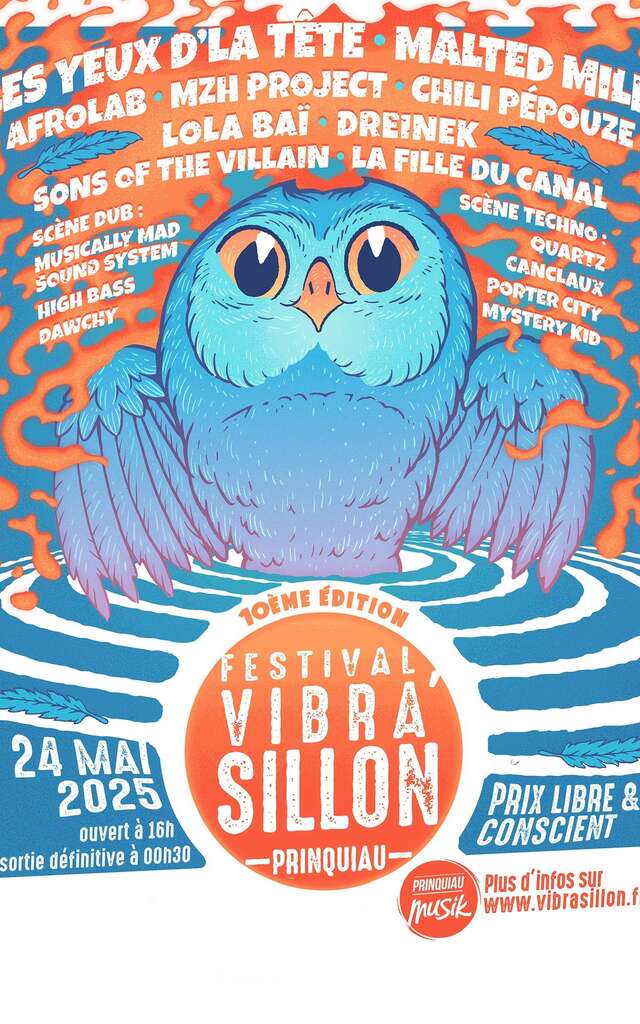 Festival Vibra'Sillon #10