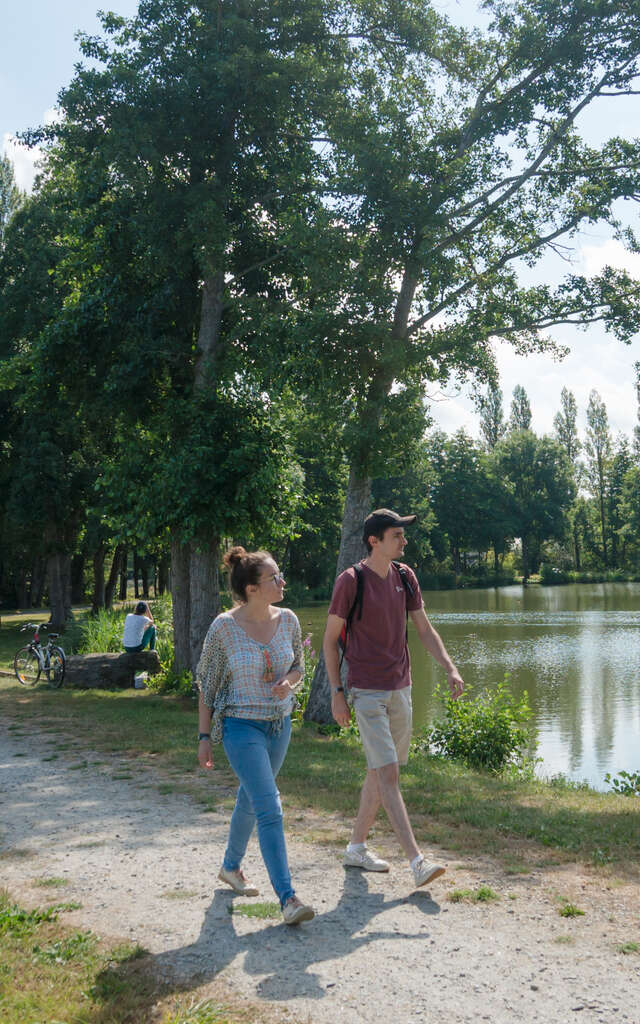 Randonnée pédestre 11,5 km