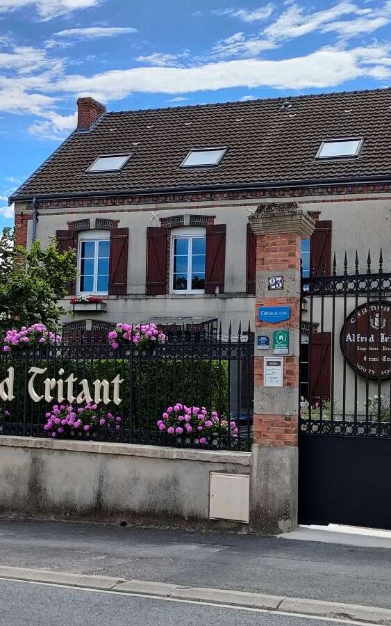 Champagne Alfred Tritant