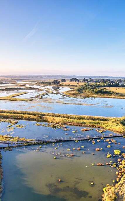 Réserve Naturelle des Marais de Séné