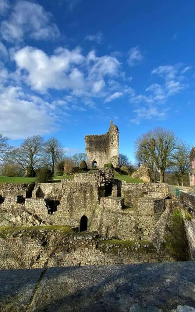 Festival Regards : "Visite nocturne poétique : histoire et voix sous les étoiles"