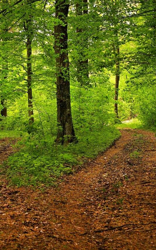 Circuit de randonnée : la Vallée de la Tardes