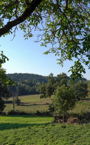 Circuit de randonnée : sentier ONF