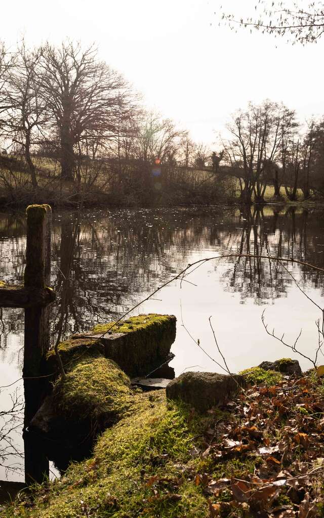 Etangs, châteaux et pâturages