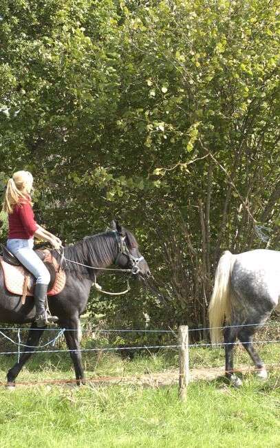 Ferme Equestre de Margnot